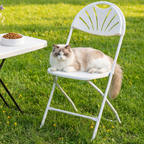 HaiNova 2 Pack Fan Back Folding Chairs, Metal Frame Indoor Outdoor Portable Stackable Seat, for Party Home Events Capacity 650 lbs, White